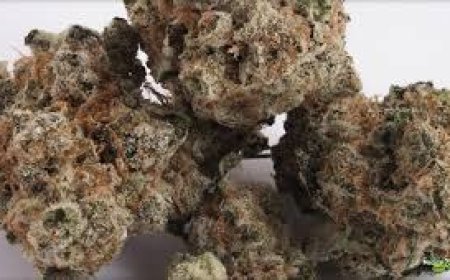 The Ultimate Cannabis Experience: Super Sour Diesel Strain Meets Grape Kush Strain