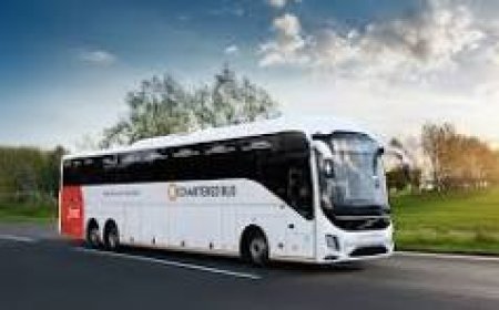 Why Choose a Party Bus Over a Limo?