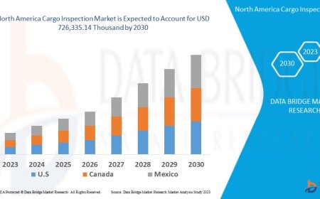 North America Cargo Inspection Market : Insights, Key Players, and Growth Analysis 2025 –2032