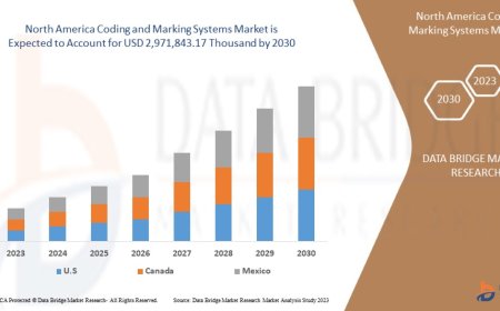 North America Coding and Marking Systems Market : Overview: Trends, Challenges, and Forecast 2025 –2032