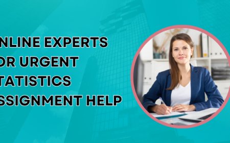 Online Experts for Urgent Statistics Assignment Help