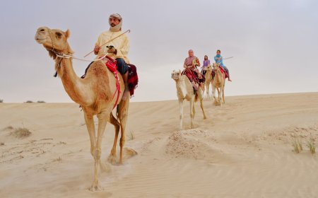 Hummer Desert Safari Dubai Explained: Route, Activities & Tips