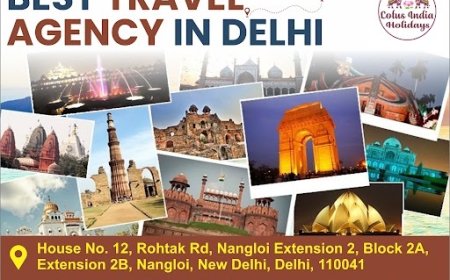 Lotus India Holidays — Your Trusted Partner for the Best Travel Agency in Delhi