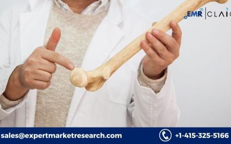 Bone Cement Market: Demand Forecast and Future Growth (2034)