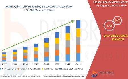 Industrial and Construction Boom Accelerates Sodium Silicate Market Growth