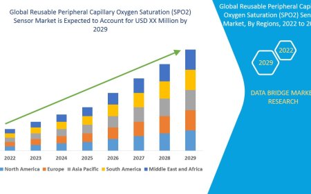 Healthcare Digitization Powers Growth in Reusable SPO2 Sensor Market