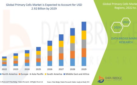 Primary Cells Market Growth and Future Trends