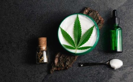 CBD Lotion for Pain Relief: A Natural Alternative Worth Exploring