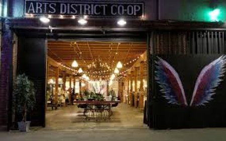 Exploring the Dispensary Arts District: Where Cannabis Meets Creativity