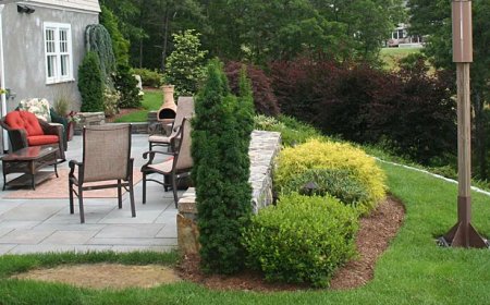 5 Signs It’s Time to Call Experts for Lawn Care Services in South Shore