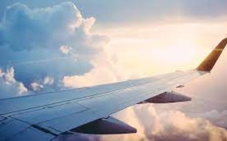 Unique Help via American Airlines Phone Number New Jersey