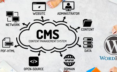 CMS-driven web solutions with SEO benefits