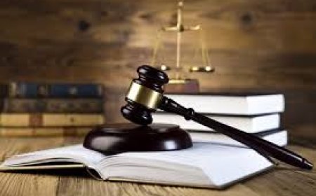 Labor Dispute Resolution and Employment Legal Services