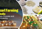 Learn How to do Pearl Farming in India