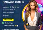 Troubleshooting common login issues with Mahadev Book ID