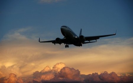 Spirit Airlines JFK Terminal +1-888-839-0502