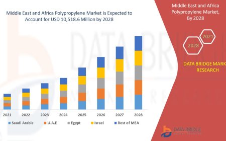 Middle East and Africa Polypropylene Market Trends, Opportunities and Forecast By 2028