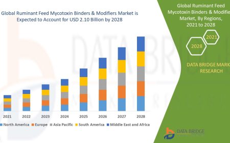 Ruminant Feed Mycotoxin Binders & Modifiers Market Trends, Demand, Opportunities and Forecast By 2028