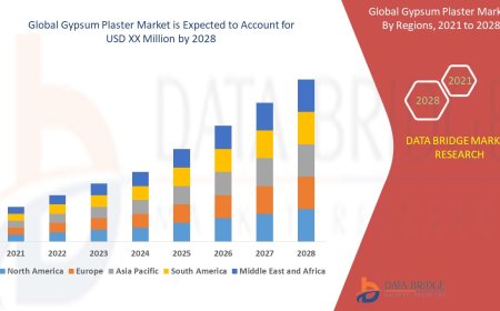 Gypsum Plaster Market Trends, Opportunities and Forecast By 2028
