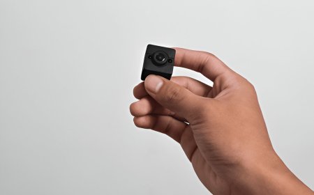 Who Investigates Suspicious Bug Devices in New Mexico