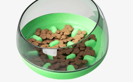 The Ultimate Guide to Choosing the Best Pet Food Bowls for Every Breed Size