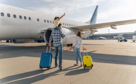 Gateways to the Subcontinent: Navigating the Indian Visa for Mauritian Citizens and Indian Visa for Mongolian Citizens