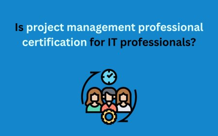 Is project management professional certification for IT professionals?