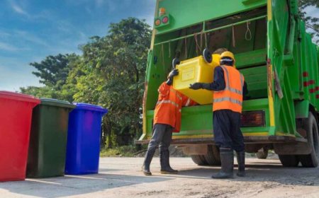The Surprising Emotional Benefits of a Reliable Bin Collection
