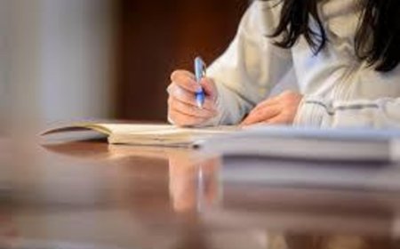 Academic Achievement Amplified: The Ultimate Guide to BSN Writing Services