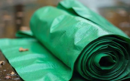 How to Choose the Right Canvas Tarp – A Guide Featuring Tarps Plus and Menards Options