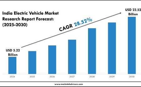 India Electric Vehicle Market Strategy Outlook (2025–2030)