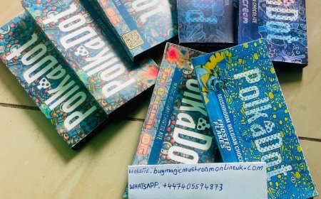 HOW TO USE MAGIC MUSHROOM CHOCOLATE BAR TO TREAT ANXIETY