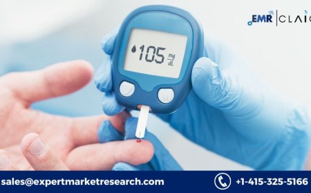 Diabetic Ulcer Treatment Market: Demand Forecast and Growth (2034)