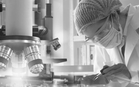 Benefits of Sunflower Lecithin Based Liposomes