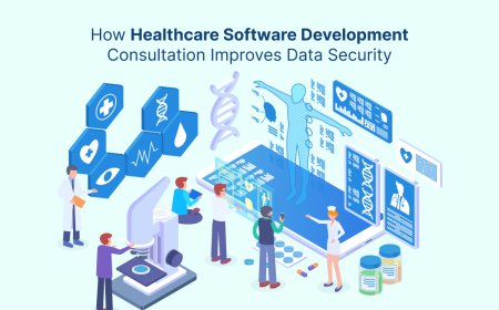 How Healthcare Software Development Consultation Improves Data Security?
