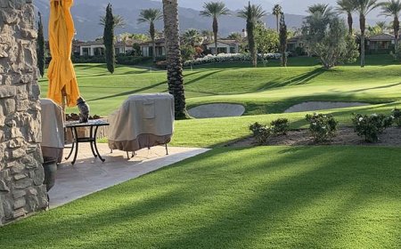 Change the look of your outdoor space by utilizing durable artificial Grass pet Turf