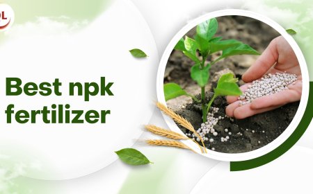Best NPK Fertilizer Practices for Vietnamese Soil