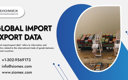 How to Identify Trusted Import Export Data Providers.