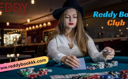 Master The Digital Card Battle: Elevate Your Mind With Online Poker