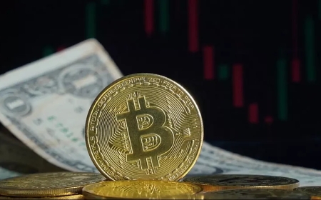 Recovering Lost Crypto Wallets: Essential Steps to Regain Access to Your Digital Assets