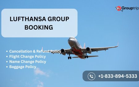 How to Cancel Lufthansa Group Booking Flight Ticket?