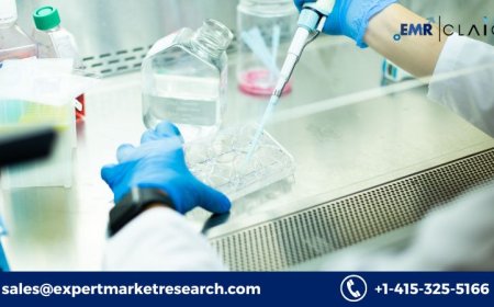 Cell-Based Assays Market: Market Growth and Future Trend (2034)