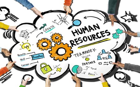 HR Course|Learn Core HR, Payroll, and Labor Laws – Professional