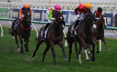 Why the Best PalmerBet Australia is a Top Choice for Aussie Punters