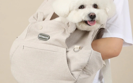 The Perfect Travel Companion: Choosing the Right Dog Overnight Bag