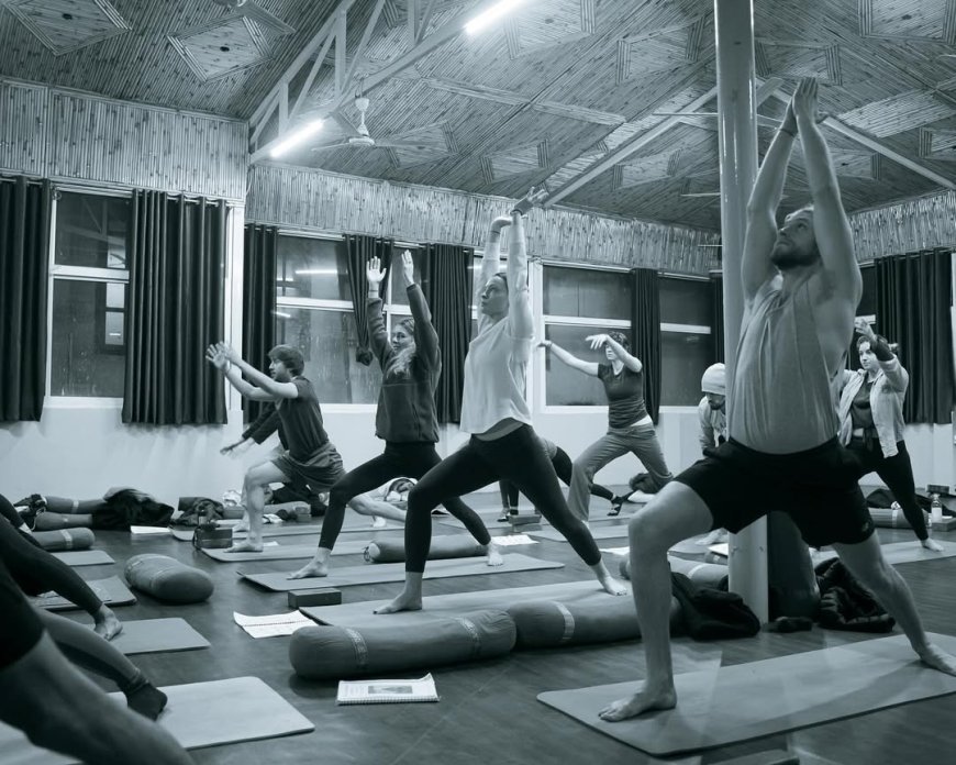 Factors That Help You To Determine The Right Yoga Teacher Training