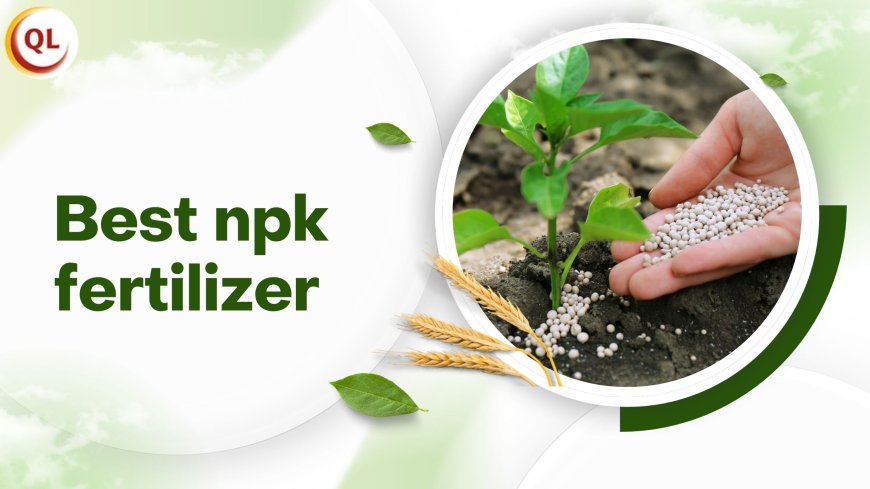 Best NPK Fertilizer Practices for Vietnamese Soil