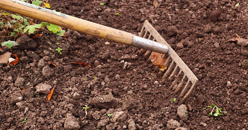 Smart Outdoor Choices: How Landscape Solutions Help Auckland Grow Greener