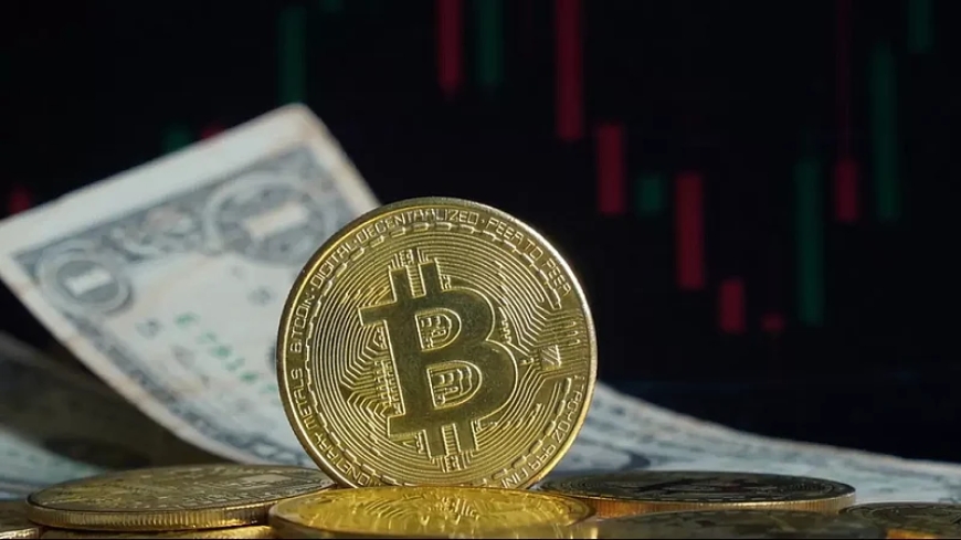 Recovering Lost Crypto Wallets: Essential Steps to Regain Access to Your Digital Assets